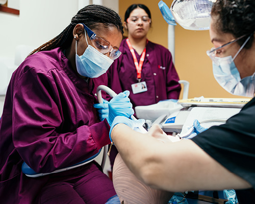 Dental Assistant