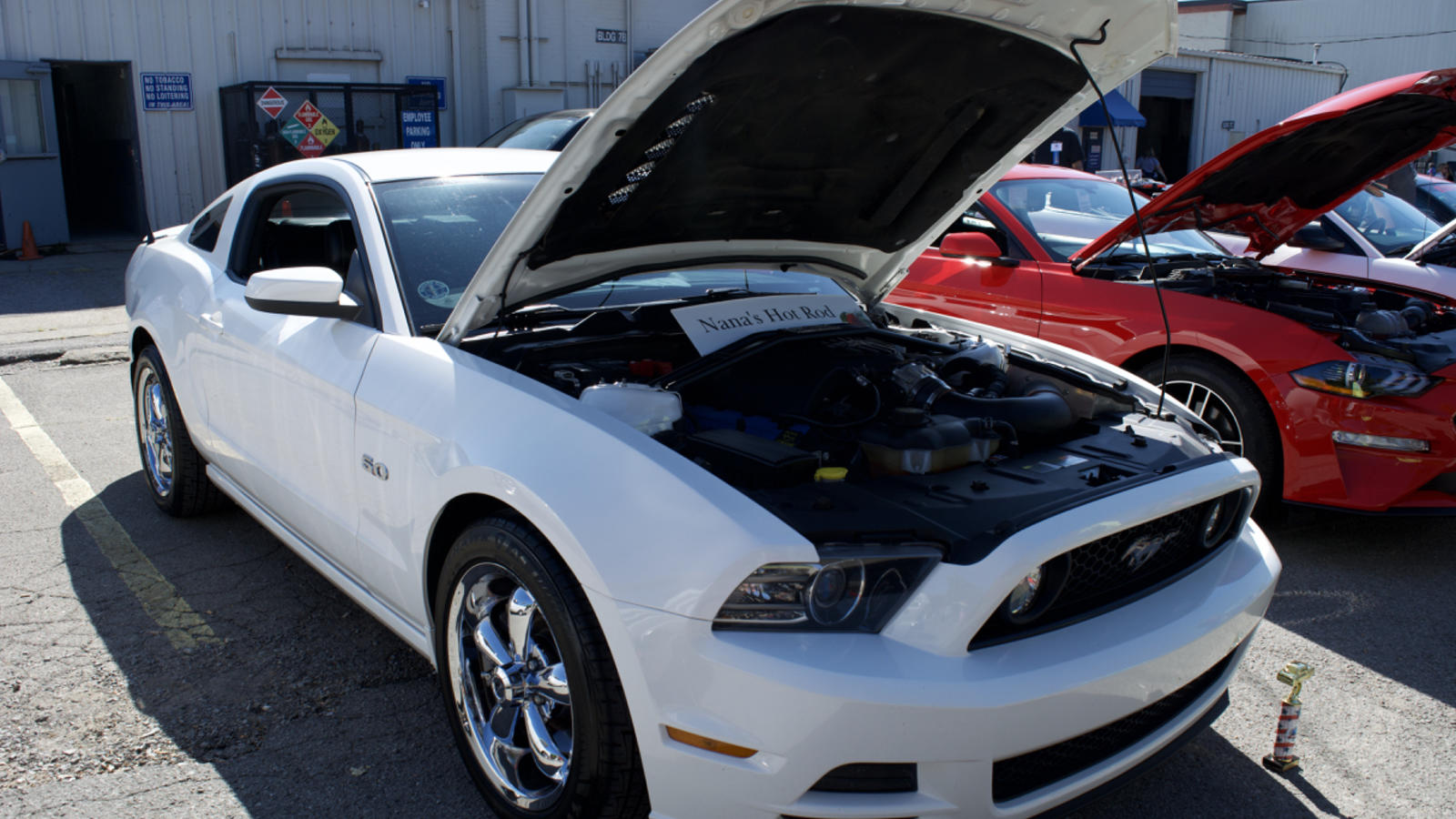 Ford Mustang Award Winner